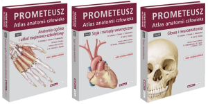 prometeusz